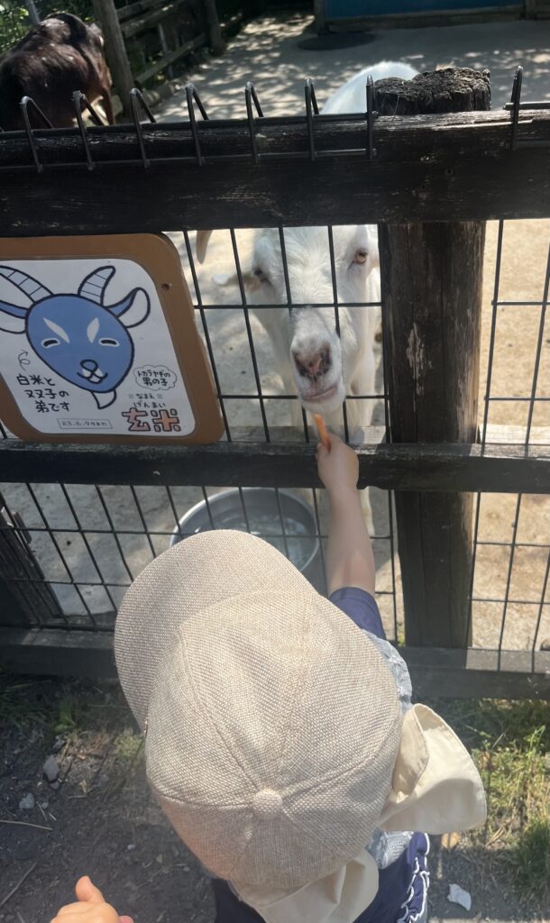 アグリパーク竜王 餌やり体験