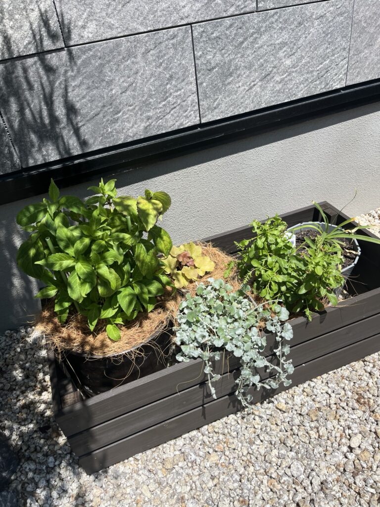 木製の鉢カバーで鉢植えの植物もおしゃれに