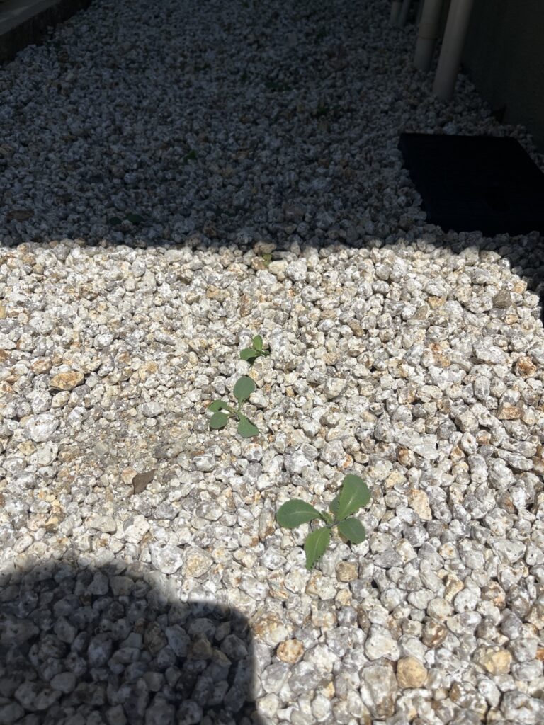 防草シート・砂利で雑草対策