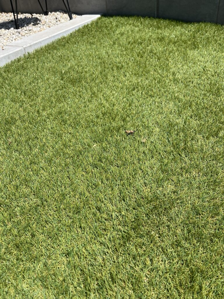 手入れが楽になるように人工芝を採用
