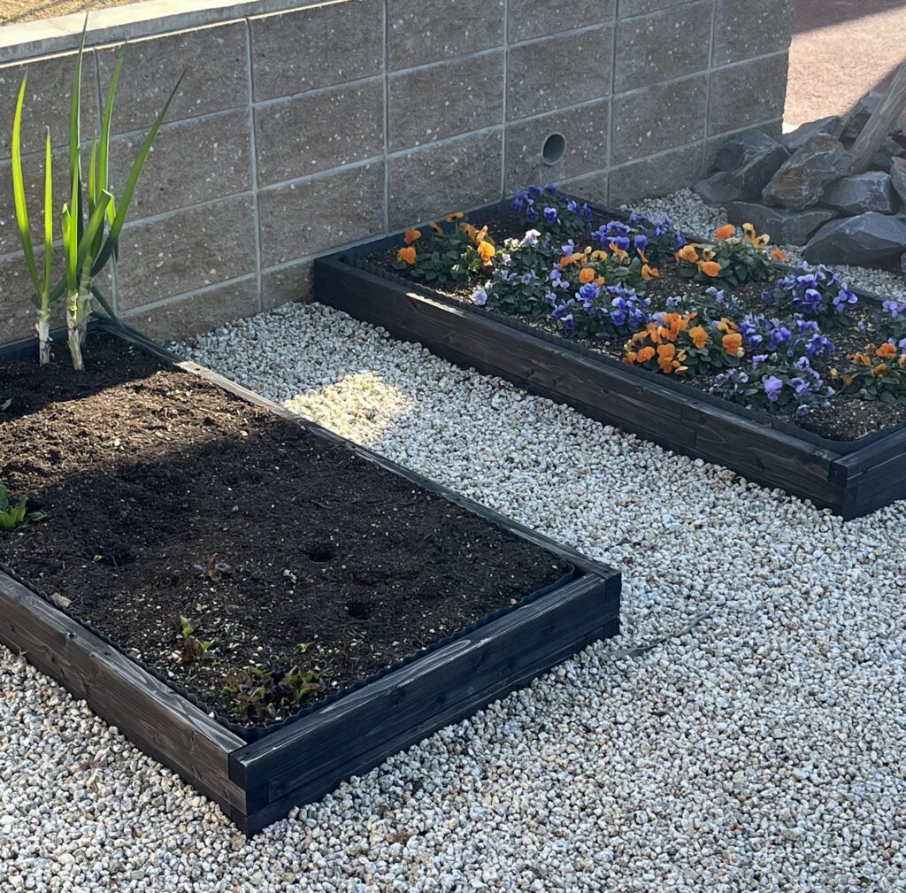 木製レイズドベッド