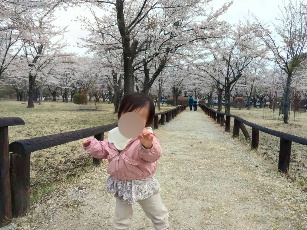 聖光寺の遅咲き桜